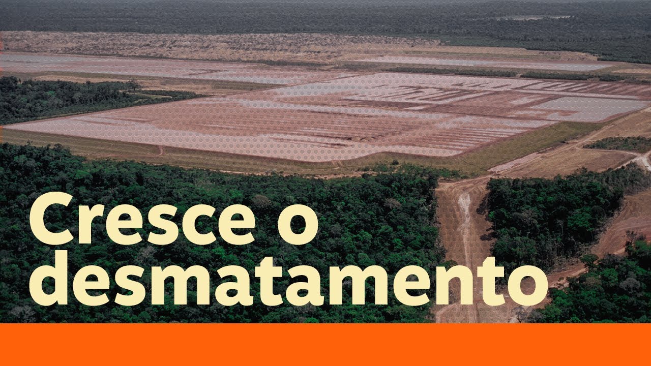 Bolsonaro ataca a ciência e os dados sobre o desmatamento na Amazônia