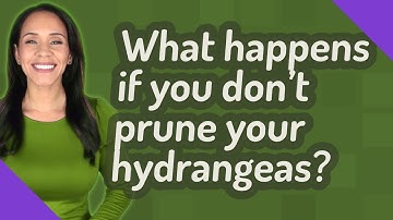 What happens if you don