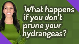 What happens if you don't prune your hydrangeas?