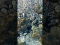 Beautiful nature of waterfall#waterfall #hills #naturelovers #nature #viralshort #viralvideo #music