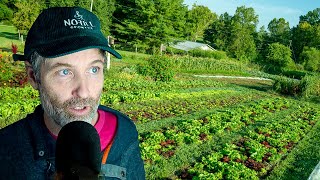 Lettuce Packaging Science Gone Wrong + Where to Start with Crop Planning