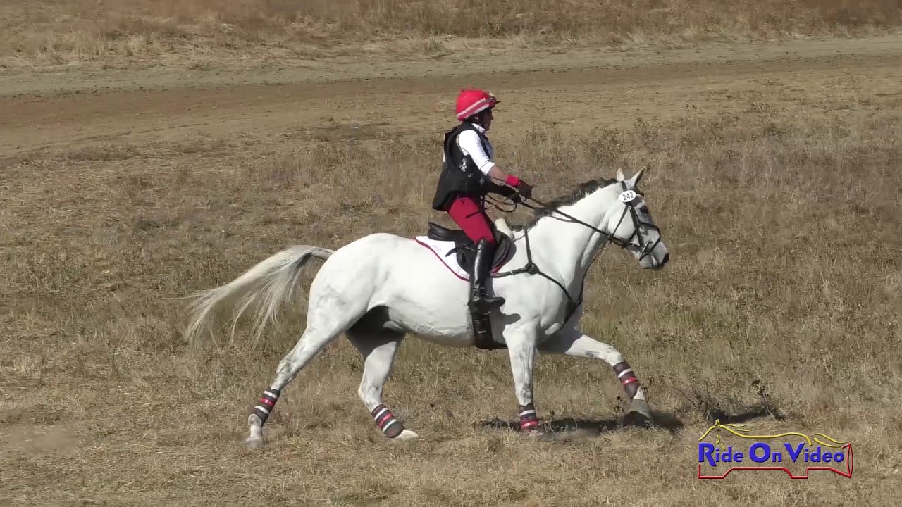 horseshoe bend 242XC Jeanne Carley on Gliding Class Novice AM Cross Country Woodside Oct. 2019