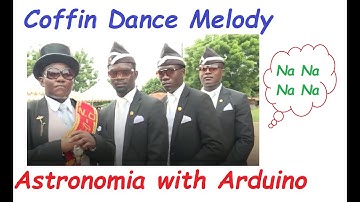 Coffin Dance Melody || Astronomia Music || EIF