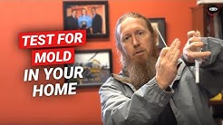 Mold Testing | How To Test For Mold In Your Home | DIY Mold Test Kit | Best Mold Test Kit to Use 