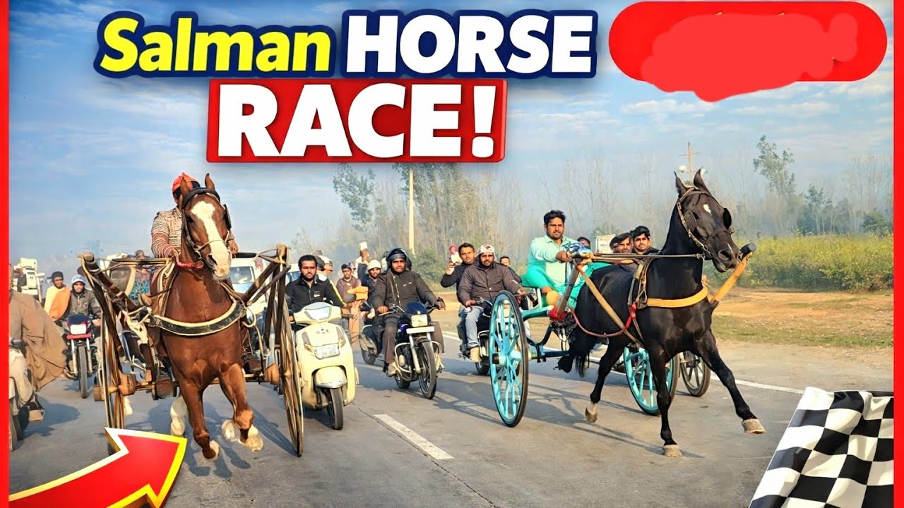 Salman Horse Race Saharanpur 10 Km 🥇🏆🐎 Welcome Wala Ghoda Winner #horse #horsetrack #horserace 