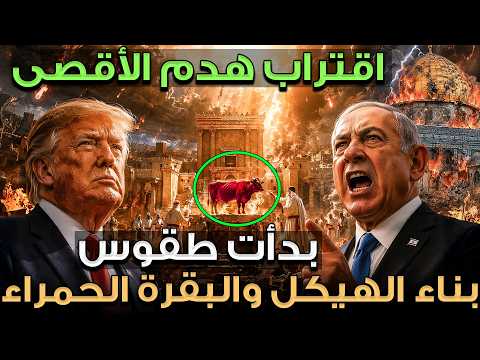 إسرائيل تبدأ طقوس بناء الهيكل المزعوم هدم الاقصى لخروج الدجال وما سر البقرة الحمراء عند الي ود