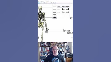 Smart Notebook in 1 minute: Rub and reveal