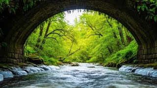 Under the Mossy Bridge: 3 Hours of Echoing River Sounds for Sleep & Focus (Hidden Sanctuary)