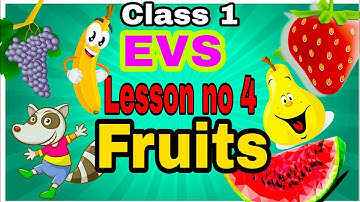 1st Class FRUITS EVS||Types of Fruits||EVS IN English