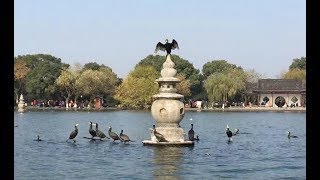 杭州西湖中的三座石塔是干啥用的？看完觉得古人比现代人还聪明！