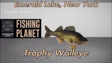 Trophy Walleye Emerald Lake New York Fishing Planet Guide