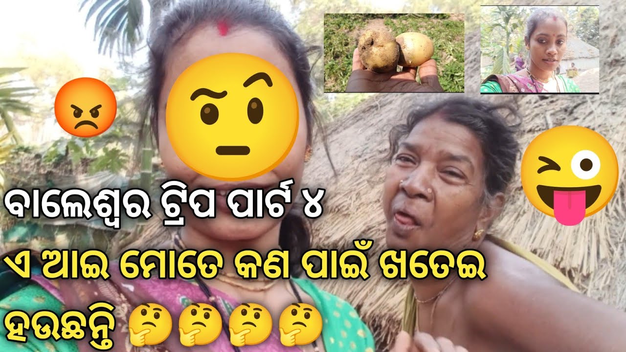 ବାଲେଶ୍ୱର ଟ୍ରିପ ପାର୍ଟ ୪#travel#viralvideo#vegetables ❤️❤️