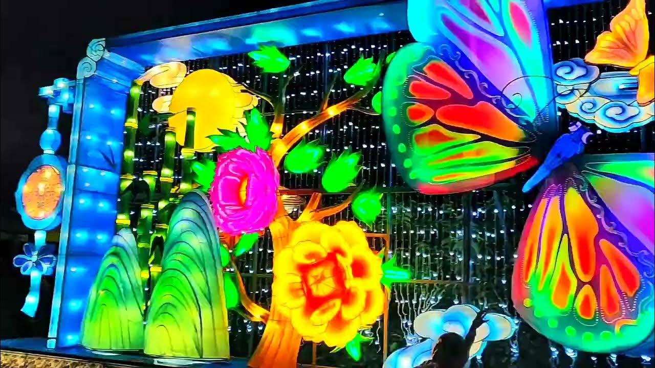 BOSTON Light show in Franklin park zoo YouTube