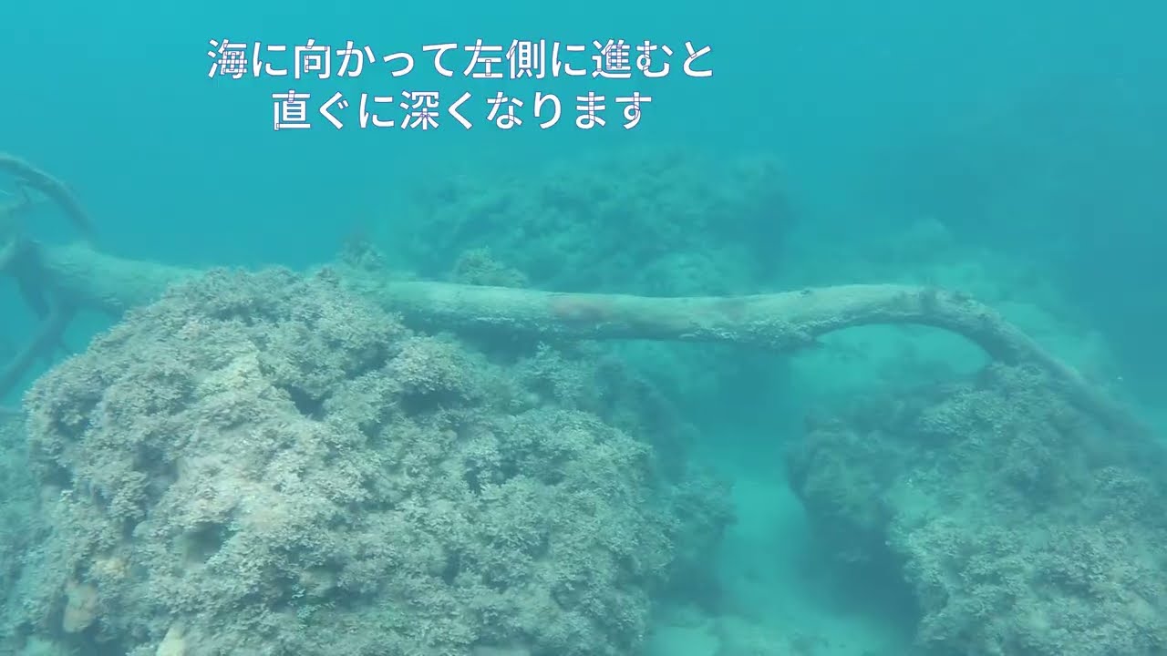 一人でシュノーケル＆素潜り　沖縄本島 ちむどんどんの天仁屋海岸と海岸の嘉陽層の褶曲 2025年2月25日