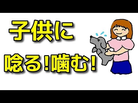犬 子供 子供に唸る 噛む 時の対応 犬のしつけ 横浜 Byドッグトレーナーエマ Youtube 犬 子供 子供に唸る 噛む 時の対応 犬のしつけ 横浜 Byドッグトレーナーエマ Youtube
