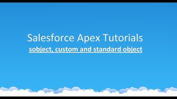 Salesforce Development tutorial : sobject, custom and standard object