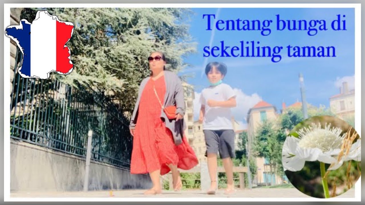 Tentang bunga di sekeliling rumah - YouTube