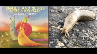 Snails and Slugs | Preschool | Read Aloud | Story