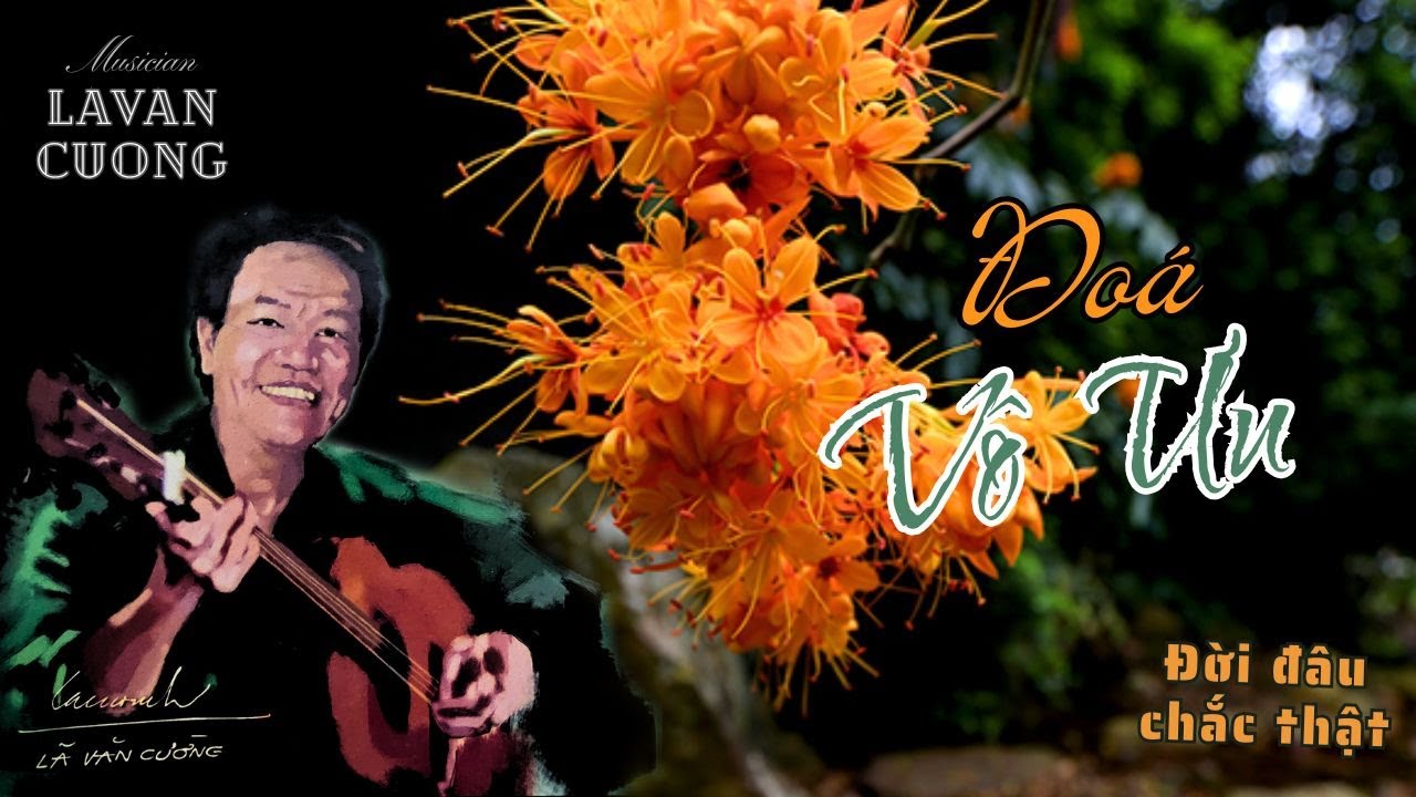 o-v-u-i-u-ch-c-th-t-l-v-n-c-ng-musician-mv-offical