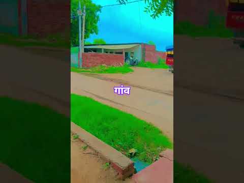 #ट्रेडिंग # #वीडियो #🥰🥰🌲