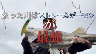 濁った川はストリームデーモンが最強‼️【シーバス】