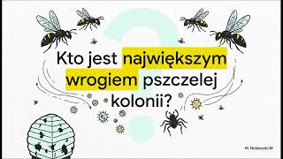 8 Twierdza w Oblężeniu Dla Początkujących