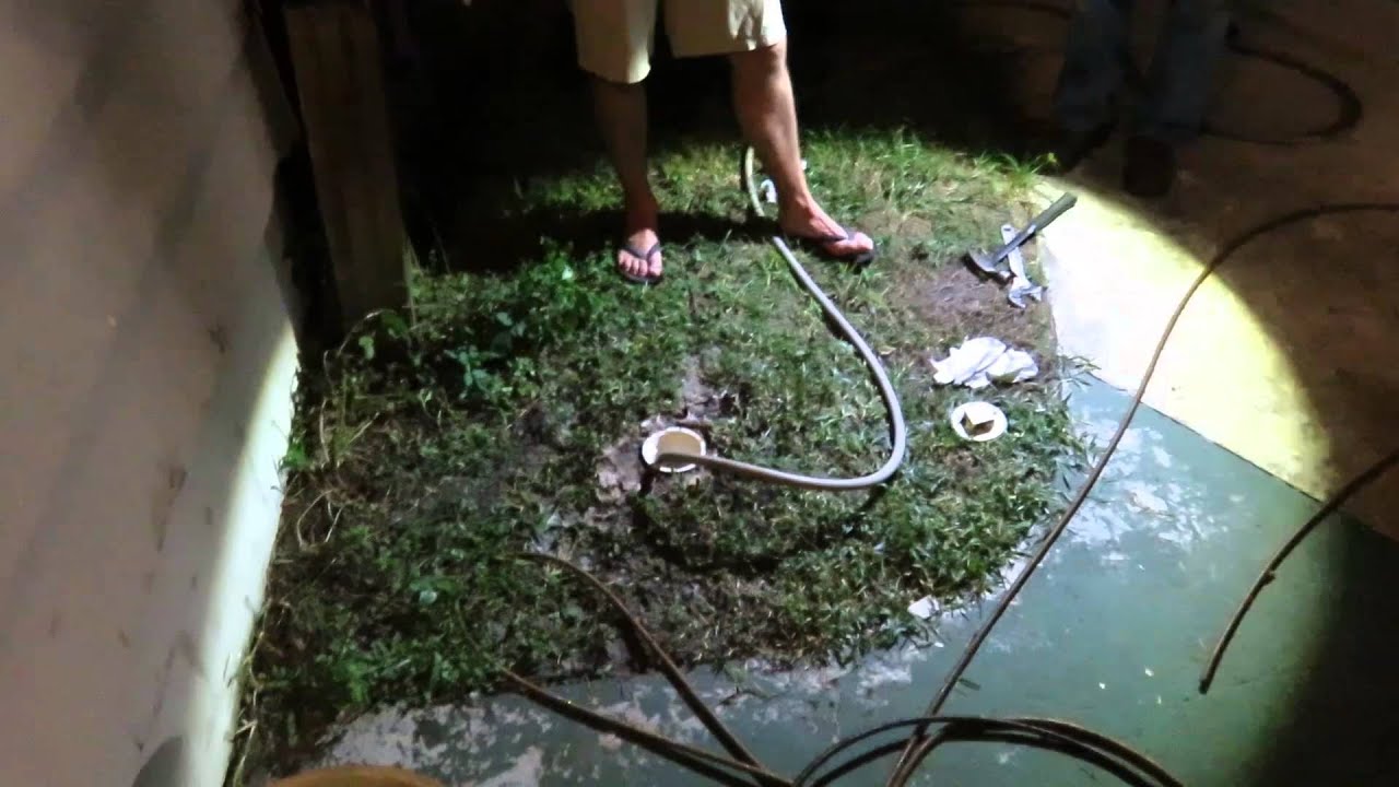 Flowed shit through the pipes Flowed shit through the pipes