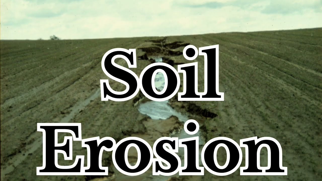 5 Types of Soil Erosion You Need to Know || gully erosion || sheet erosion