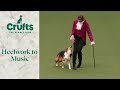 Heelwork to music part 1  crufts 2024