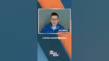 The Secret Power of Networking Revealed #shorts