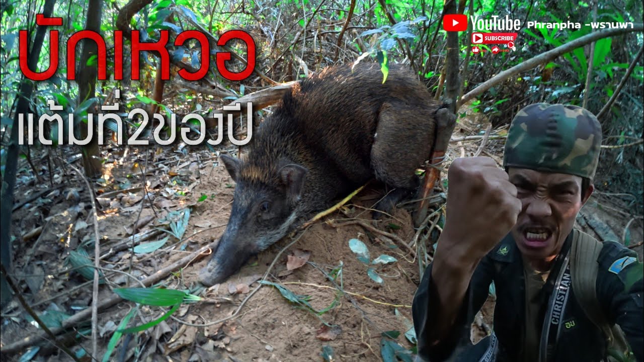 พรานพาจัดบักเหวอแต้มที่้2ພານພາຈັດບັກເຫວີແຕ້ມທີ່2
