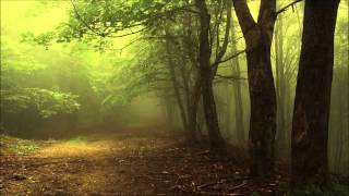 David Helpling & Jon Jenkins - Only Ashes