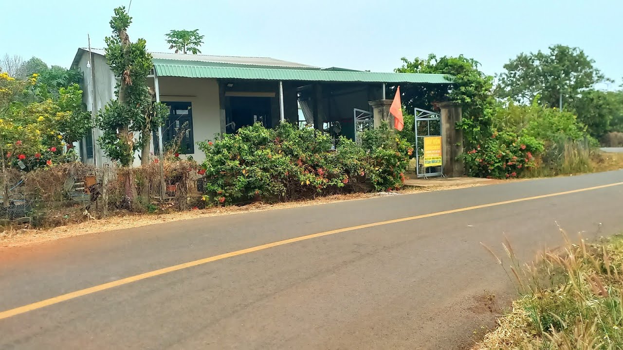 Bán vườn điều đường nhựa lớn =S 9237m²,giá 1ty250tr bao sổ 