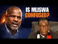 Mliswa’s Constitutional Confusion EXPOSED | The Referendum They’re Avoiding