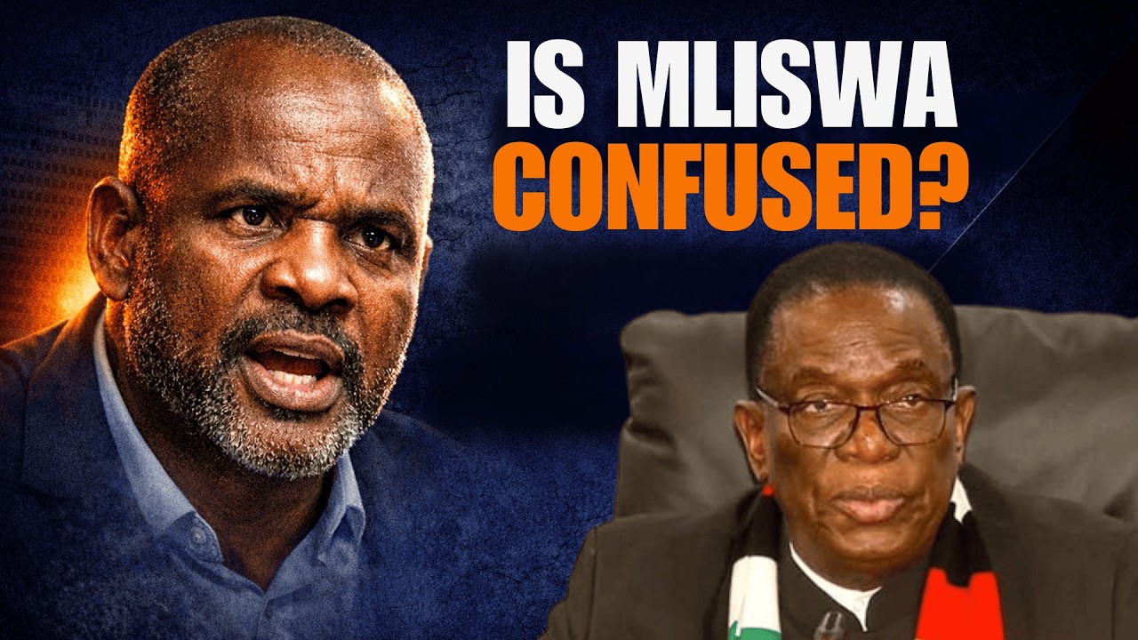 Разоблачена конституционная неразбериха Млисвы | Референдум, которого они избегают