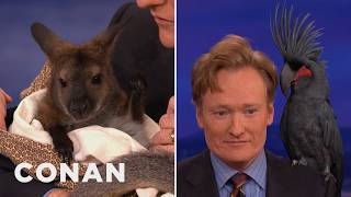 Animal Expert David Mizejewski: Wallaby, Black Palm Cockatoo &amp; More | CONAN on TBS