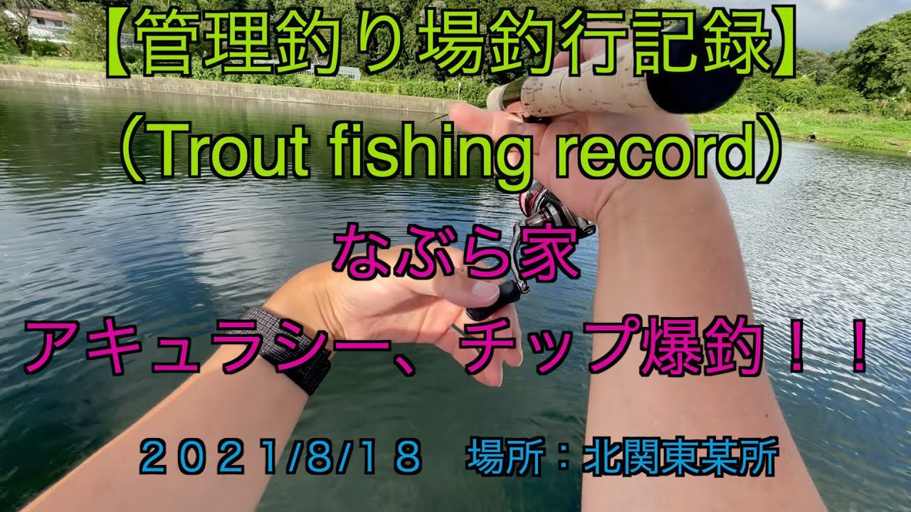 【管理釣り場釣行記録】2021.8.18（なぶら家アキュラシー、チップ爆釣！！）/trout fishing record