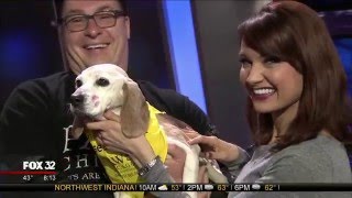 Jenny Milkowski Puppy Kisses! Tinker is up for Adoption!