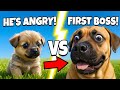 Funny Puppies Meet a Giant Dog for the First Time! 😂🐶