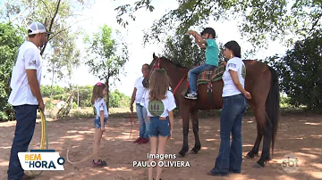 O que é necessário para abrir um centro de equoterapia?