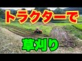 【休耕田】ほぼ荒地の田んぼをトラクターでトラ刈りする