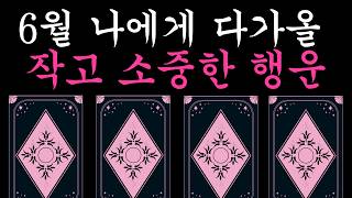 [타로] 6월 나에게 다가올 작고 소중한 행운🍀 (조금은 클지도?)