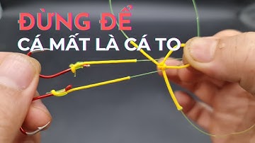 Cách buộc thẻo câu cá ( Chống đứt - Chống nổ ) mất cá | Tự tin kéo vật hàng hugo
