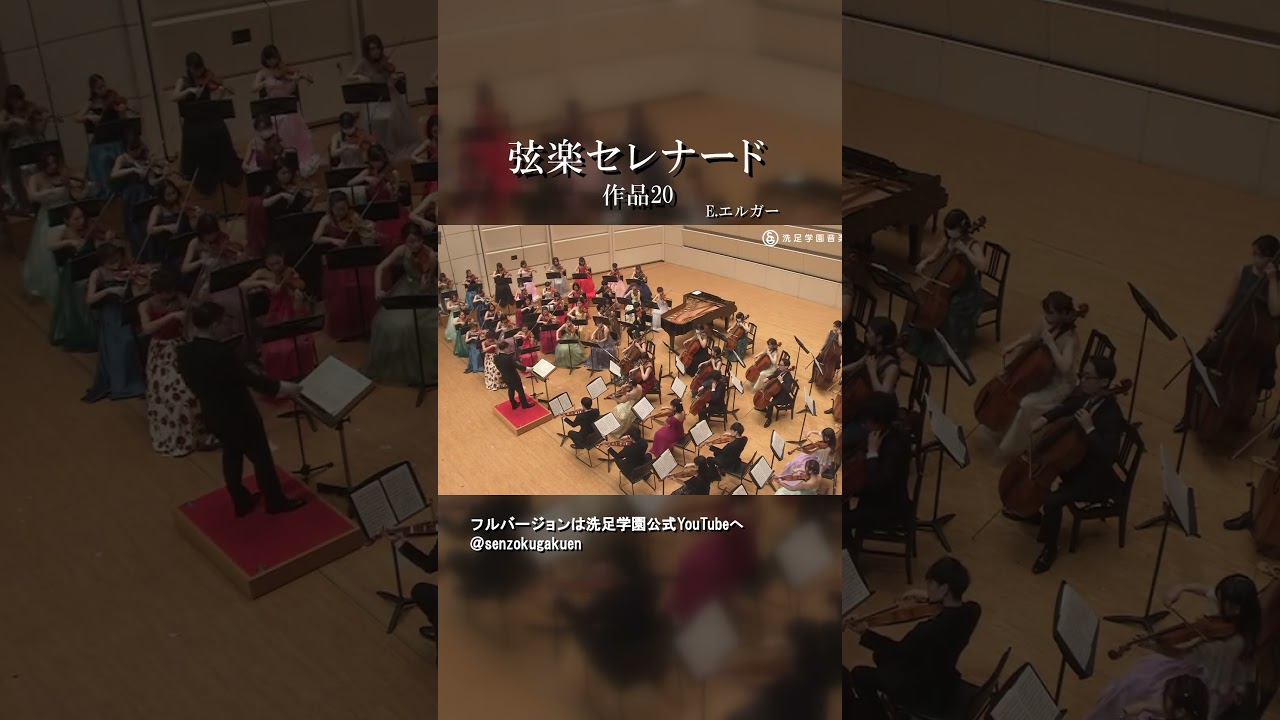 弦楽セレナード ホ短調 作品20 - YouTube