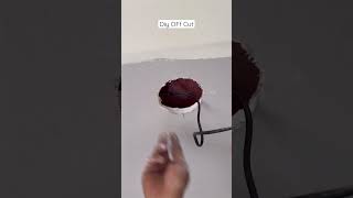 How To Install Down Lights #shorts #youtubeshorts #electrician