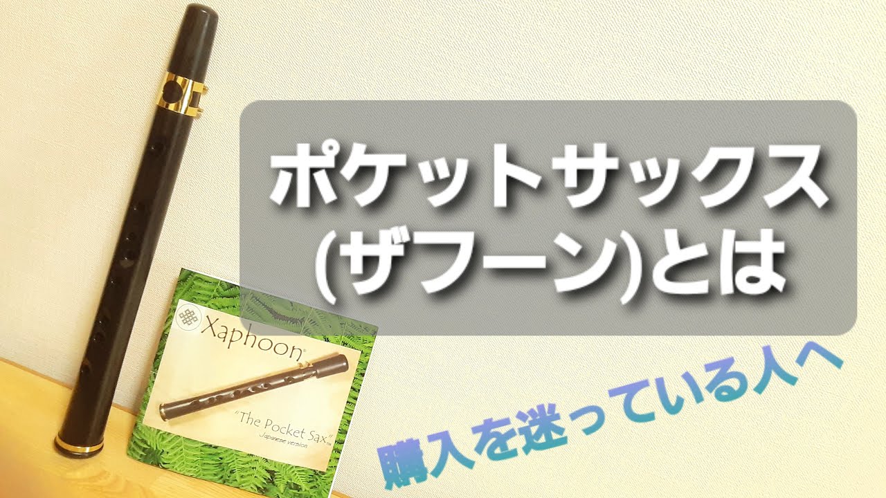 Xaphoon ザフーン Pocket Sax ポケットサックス - 管楽器、吹奏楽器