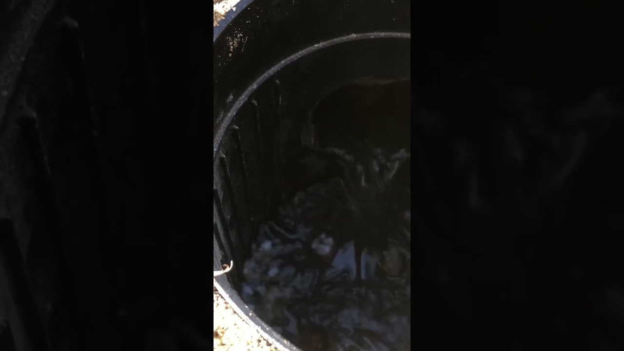 How To Fix A Flooded Yard