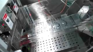 Form, Fill, & Sealer - Swing 600 - Completed Product Examples