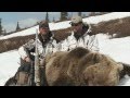 SOA Alaskan Brown Bear