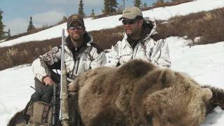 SOA Alaskan Brown Bear